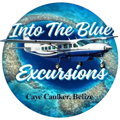 Into the Blue Excursions